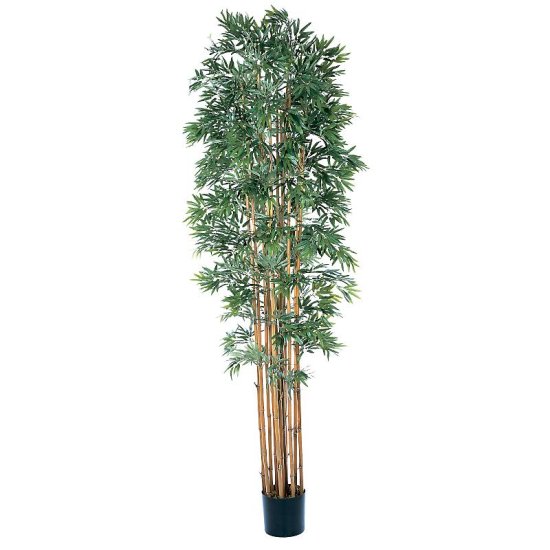 (image for) 6' Bamboo Japonica Silk Tree # NN5045 TEXT_CLOSE_WINDOW