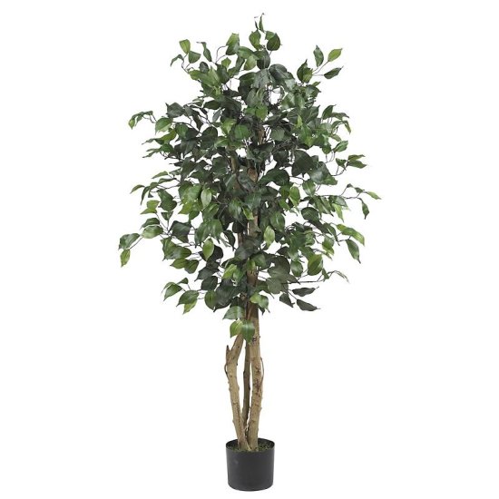 (image for) 4' Ficus Silk Tree # NN5299 TEXT_CLOSE_WINDOW
