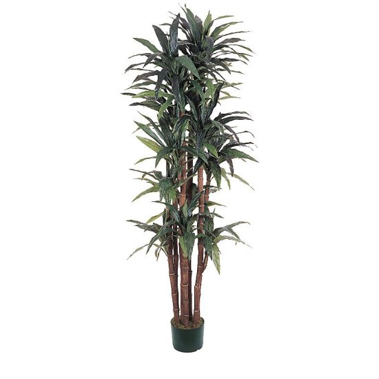(image for) 6.5' Dracaena Silk Tree # NN5029 TEXT_CLOSE_WINDOW
