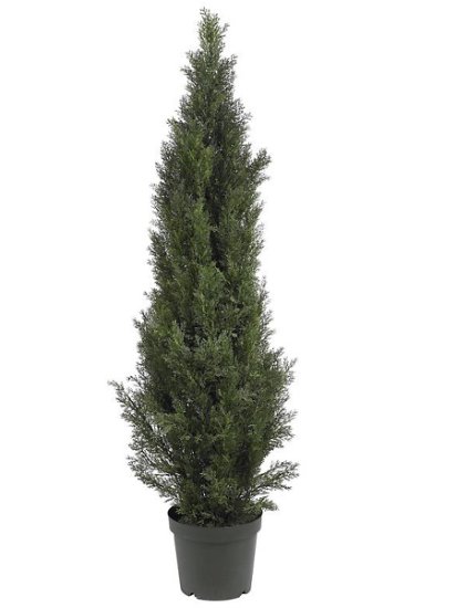 (image for) 5' Mini Cedar Pine Tree (Indoor/Outdoor) # NN5291 TEXT_CLOSE_WINDOW