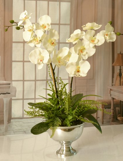(image for) White Orchids in Silver Vase 0154 TEXT_CLOSE_WINDOW