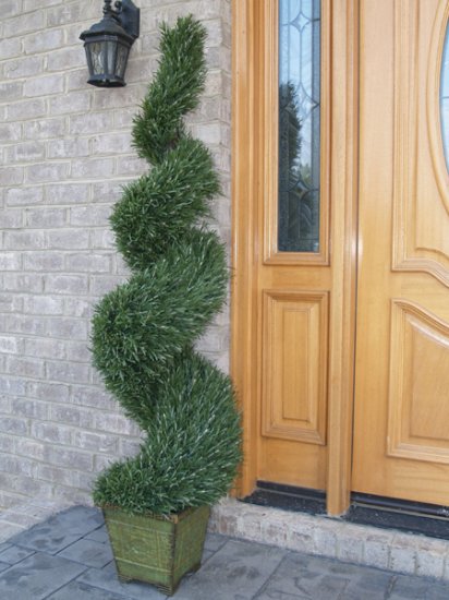 (image for) 4 Ft. Rosemary Spiral Topiary TreeTP4RS-150 TEXT_CLOSE_WINDOW