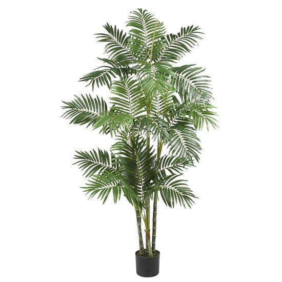 (image for) 5' Areca Palm Silk Tree # NN5315 TEXT_CLOSE_WINDOW