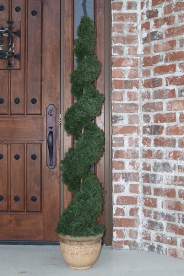 (image for) 4' Cypress Spiral Topiary Tree TEXT_CLOSE_WINDOW