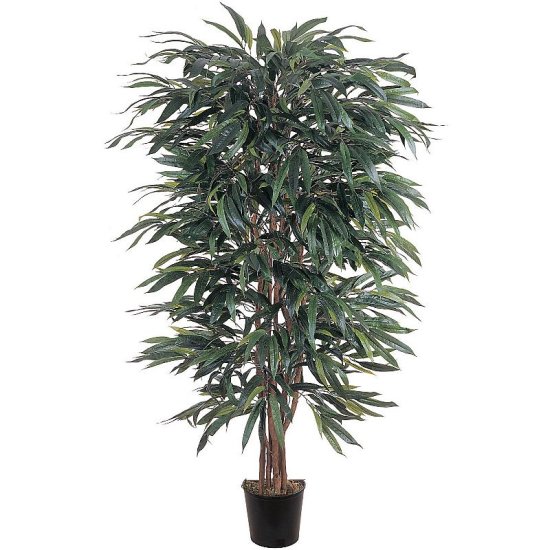 (image for) 5' Weeping Ficus Silk Tree # NN5018 TEXT_CLOSE_WINDOW
