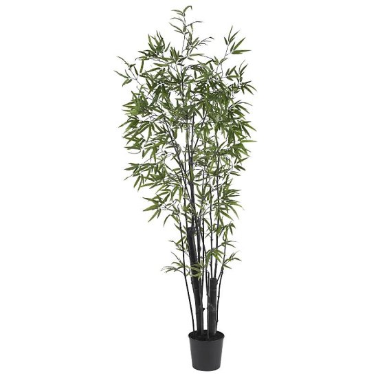 (image for) 6' Black Bamboo Silk Tree with 2 Trunks # NN5164 TEXT_CLOSE_WINDOW
