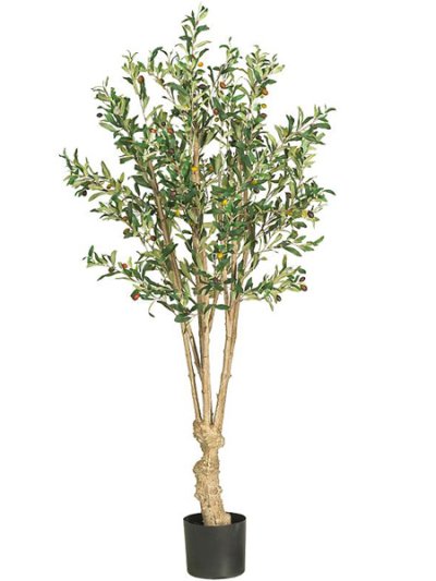 (image for) 5' Olive Silk Tree # NN5258