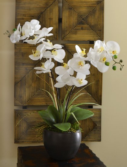 (image for) White Silk Orchid Design in Black Bowl O146 TEXT_CLOSE_WINDOW