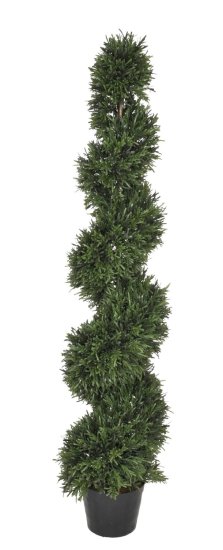 (image for) 5' Rosemary Topiary TP-LPR485 TEXT_CLOSE_WINDOW