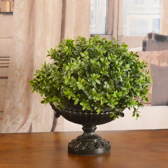 (image for) Boxwood in Pedestal Vase GR184 TEXT_CLOSE_WINDOW