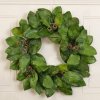 (image for) Magnolia Leaf Wreath WR4957 Out of Stock