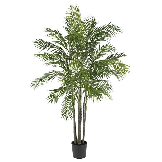 (image for) 5' Areca Silk Palm Tree # NN5275 TEXT_CLOSE_WINDOW