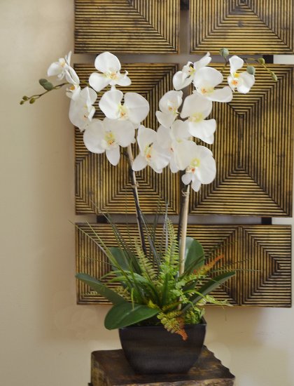 (image for) White Orchids with Fern and Foliage 0156 TEXT_CLOSE_WINDOW