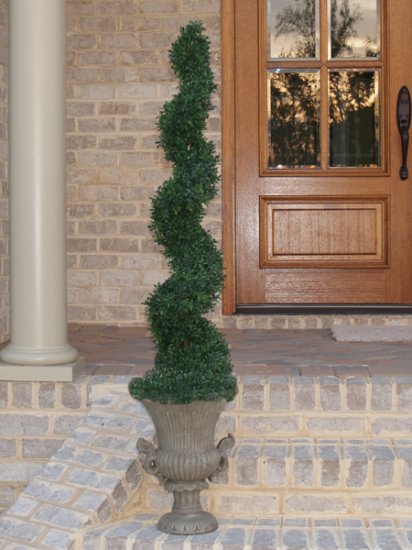 (image for) 5 FT. Boxwood Spiral Topiary Tree TP5BX-115 TEXT_CLOSE_WINDOW