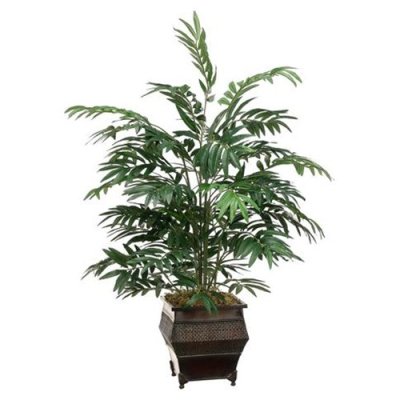 (image for) 3' Bamboo Palm in Metal ContainerTR-WP7069
