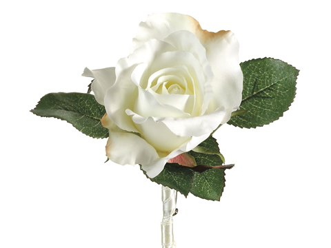 (image for) White Single Rose Boutonniere TEXT_CLOSE_WINDOW