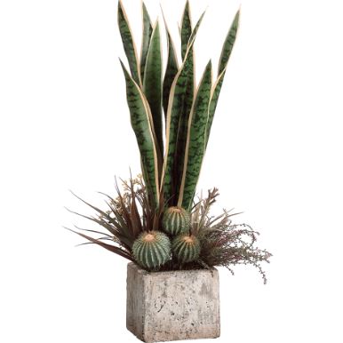 (image for) Green Succulent Arrangement With Lavender GRWF3007 TEXT_CLOSE_WINDOW