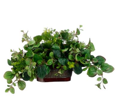 (image for) Faux Peperomia and Tea Leaf Silk Greenery Plant GRWP7870