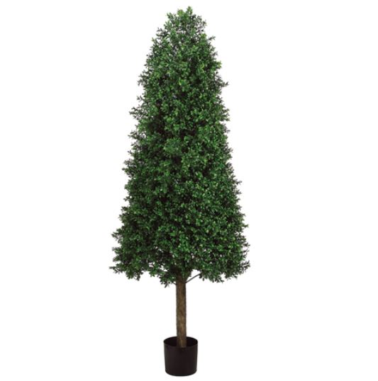 (image for) ' Cone Shaped Boxwood Topiary TP-LPB265 TEXT_CLOSE_WINDOW