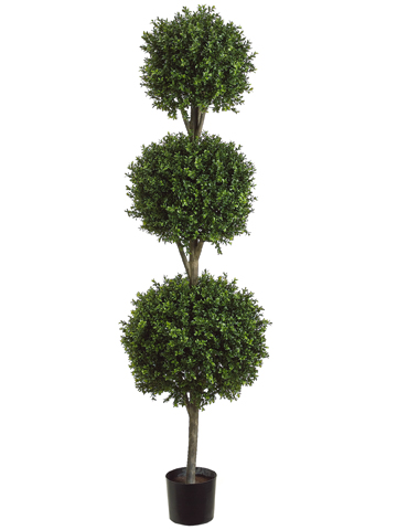 (image for) 6' Triple Ball-Shaped Boxwood Topiary Tree # TP276 TEXT_CLOSE_WINDOW
