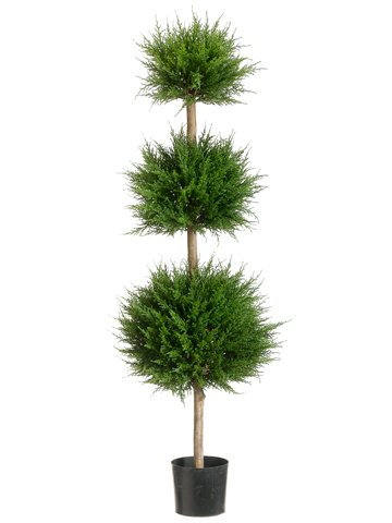 (image for) 4' Canadian Cypress Triple Ball Topiary - 2 ea. TP-LPC214 TEXT_CLOSE_WINDOW