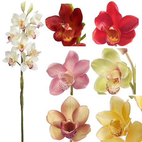 (image for) 31" CYMBIDIUM SILK ORCHID STEMS S16247 ( 6 Pieces) TEXT_CLOSE_WINDOW