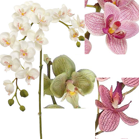 (image for) 22" DANCING ORCHID- S18818 (12 piece min) TEXT_CLOSE_WINDOW