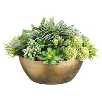 (image for) Mixed Succulent Greenery Arrangement ARWF1388 TEXT_CLOSE_WINDOW