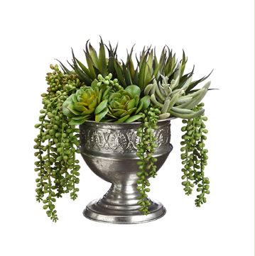 (image for) Mixed Succulents Arrangement With Agave ARWF1991 TEXT_CLOSE_WINDOW