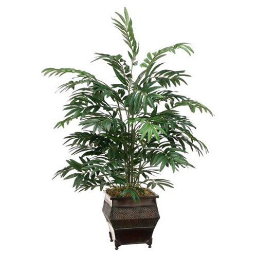 (image for) 3' Bamboo Palm in Metal ContainerTR-WP7069 TEXT_CLOSE_WINDOW