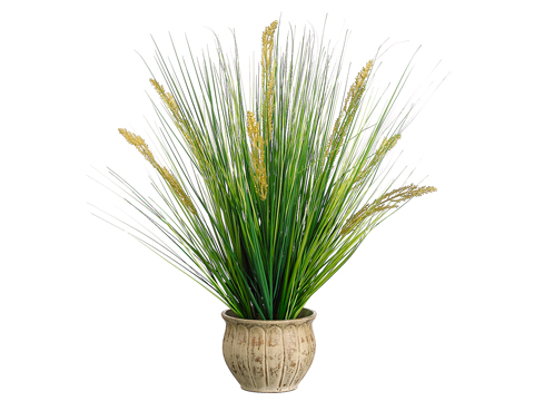 (image for) Grass in Pot Silk Plant and Greenery GRWP7410-4 ( out of stock) TEXT_CLOSE_WINDOW