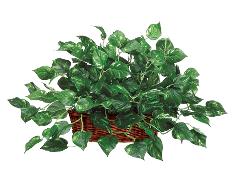 (image for) Pothos Silk Plant and Greenery GRWP7456-4 TEXT_CLOSE_WINDOW
