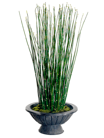(image for) Horse Tail Grass Silk Plant and Greenery GRWP7532 TEXT_CLOSE_WINDOW