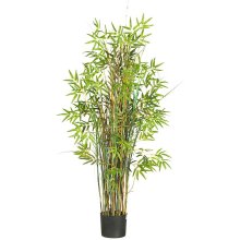 5' Bamboo Grass Silk Plant NN6569