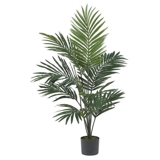 5' Kentia Palm Silk Tree # NN5340 - Click Image to Close