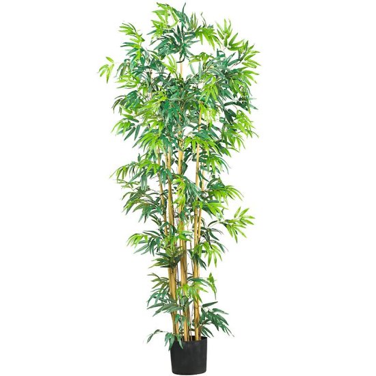 (image for) 6' Multi Bambusa Bamboo Silk Tree # NN5214 TEXT_CLOSE_WINDOW
