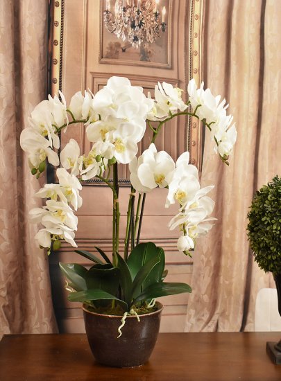 (image for) White Phalaenopsis Orchid Silk Arrangement AR408 TEXT_CLOSE_WINDOW