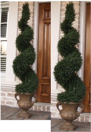 (image for) 5 foot Rosemary Topiary Tree TEXT_CLOSE_WINDOW