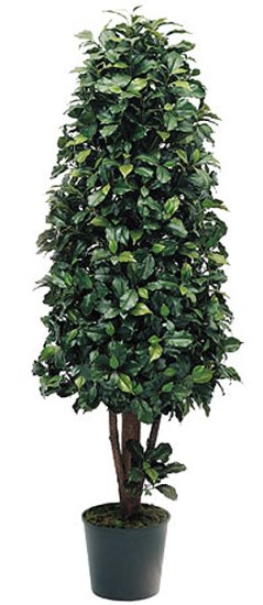 (image for) 5' Ficus Cone - Silk Topiary Tree TP-15307 TEXT_CLOSE_WINDOW