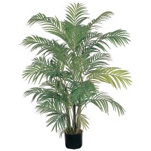 4' Areca Silk Palm Tree # NN5001