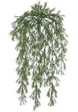 (image for) 31" SPRINGRI HANGING BUSH- 3689XX (12 piece min)