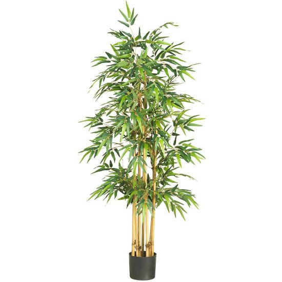 (image for) 64" Bamboo Silk Tree # NN5253 TEXT_CLOSE_WINDOW
