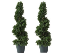 (image for) 3' Cedar Artificial Topiaries Set of 2 - TP2-3CD