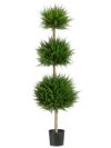 (image for) 4' Canadian Cypress Triple Ball Topiary - 2 ea. TP-LPC214