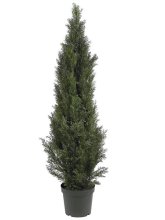 5' Mini Cedar Pine Tree (Indoor/Outdoor) # NN5291
