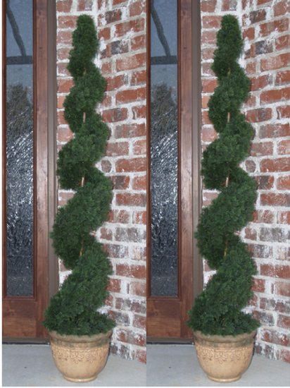 (image for) Set of 2- 4 Ft. Cedar Spiral Topiary Tree TP2-4CY-180 TEXT_CLOSE_WINDOW