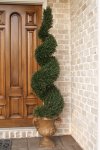 Topiary Trees- View All