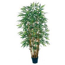 5' Bamboo Silk Tree # NN5039