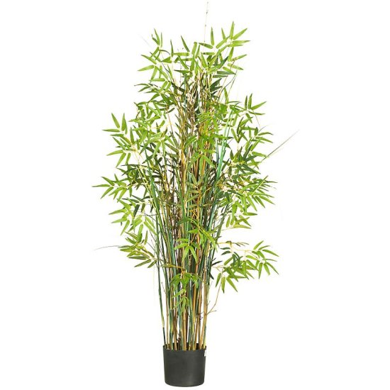 (image for) 5' Bamboo Grass Silk Plant NN6569 TEXT_CLOSE_WINDOW