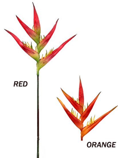 (image for) 32" HELICONIA- S3797 (12 piece min) TEXT_CLOSE_WINDOW